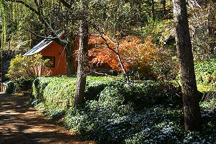 Forest Houses, November 2015